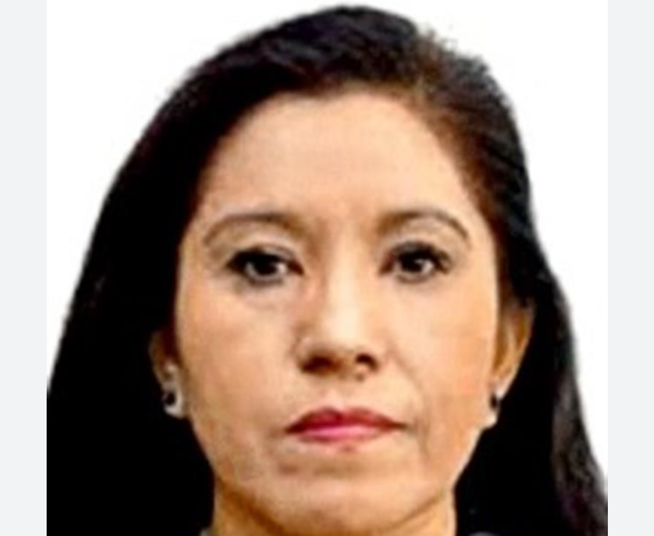 Inhabilitada de la función pública y señalada por desvíos en la L12 administrará la Corte 