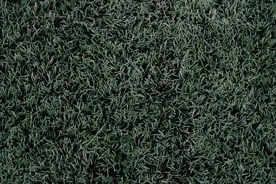 ¿Es el pasto sintético un riesgo real para la integridad de los futbolistas?